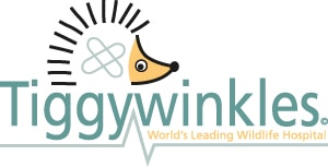 Tiggywinkles-Logo-4col