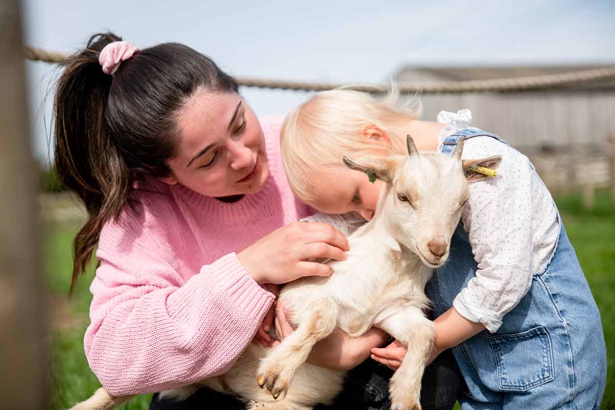 Plan a Visit Hogshaw Farm & Wildlife Park