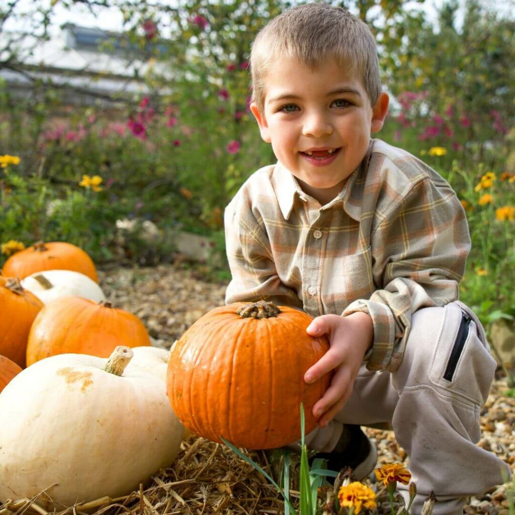Halloween event in Bucks - pumpkin picking