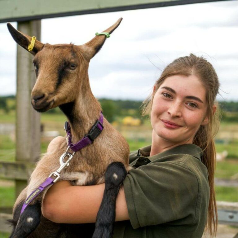 Young woman holding an English goat