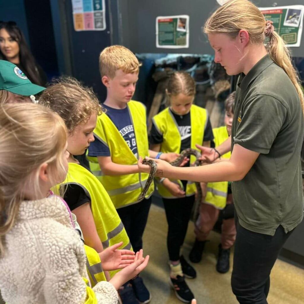 Farm Keeper handles a snake, with a group of children looking on - School Visits at Hogshaw Farm & Wildlife Park