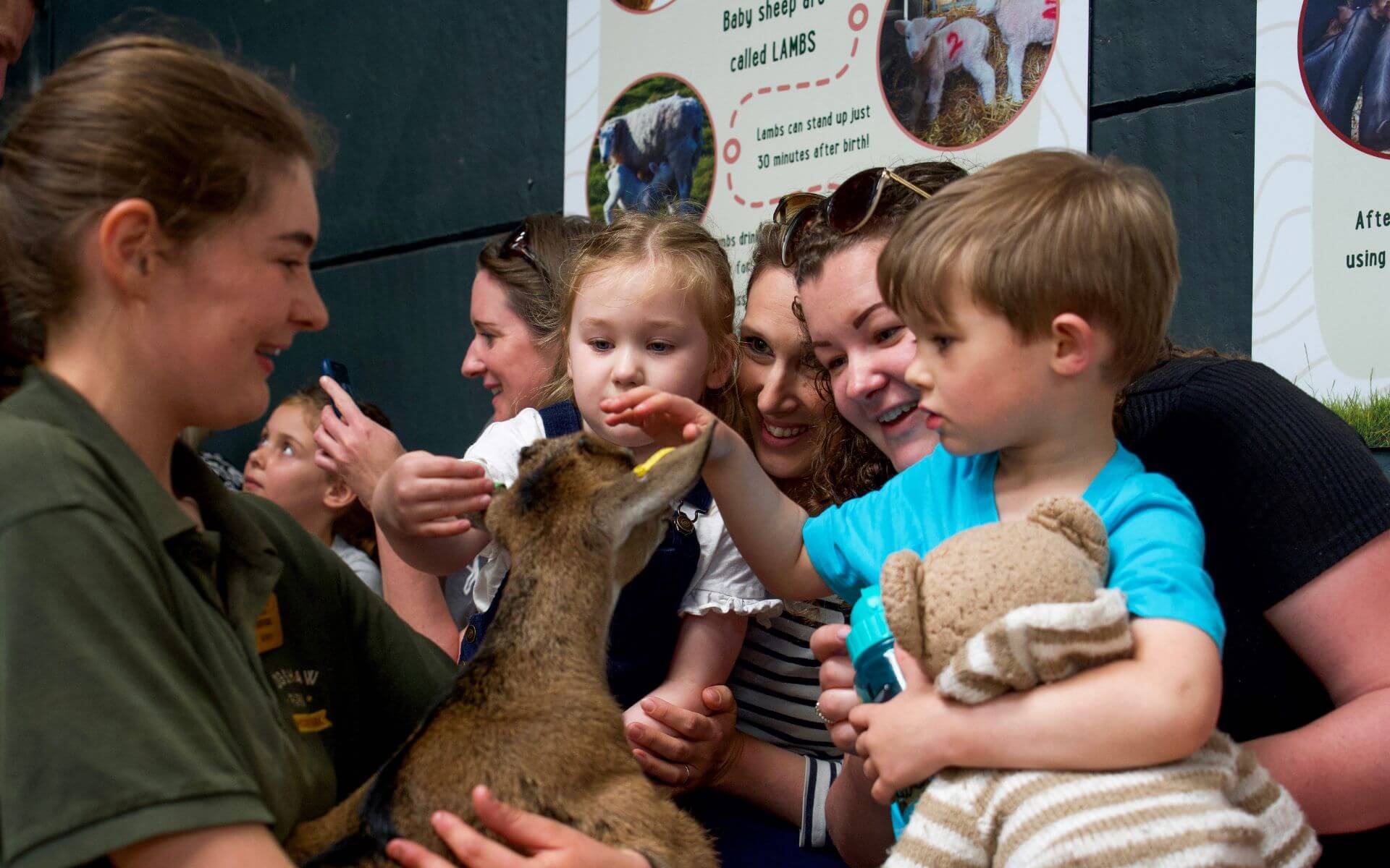 Animal experiences in Buckinghamshire - farm park fun!