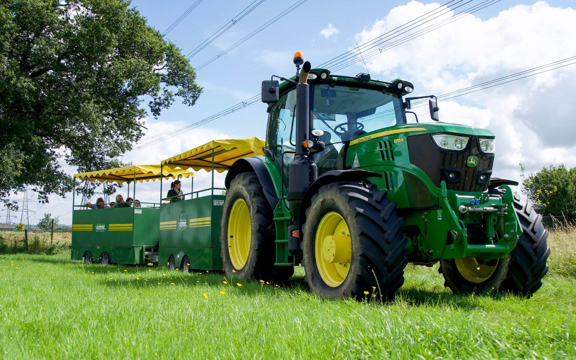 Summer on the Farm