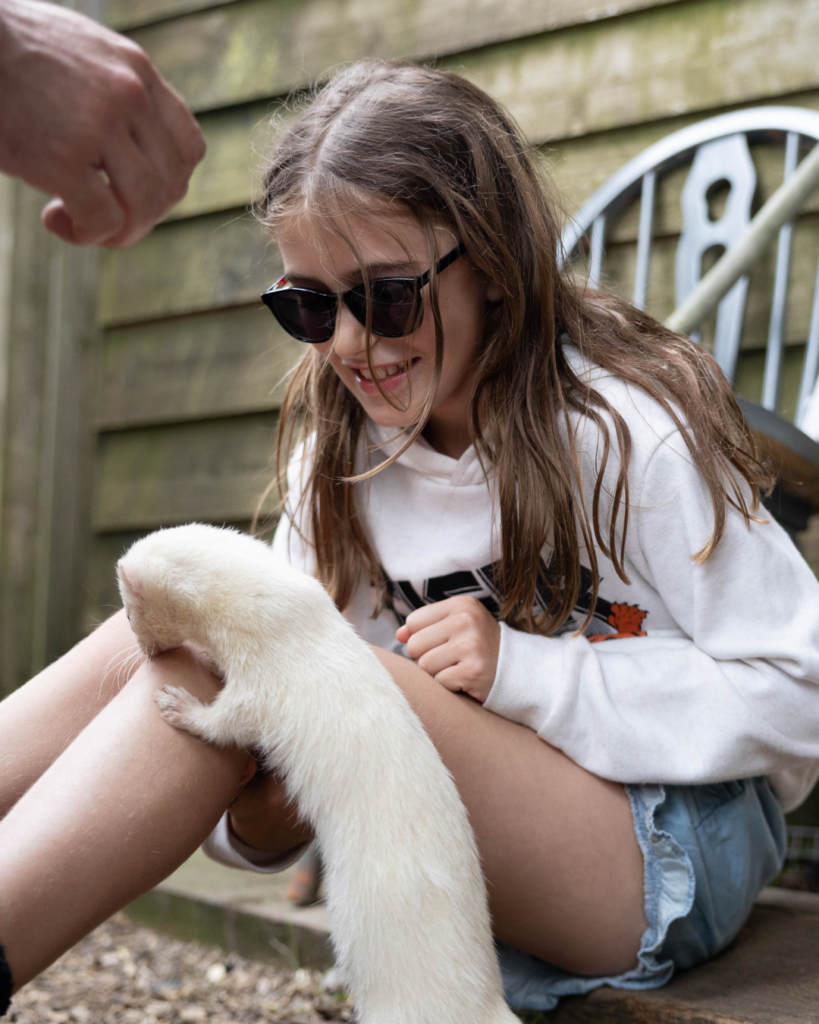 Affordable ferret experience in Buckinghamshire