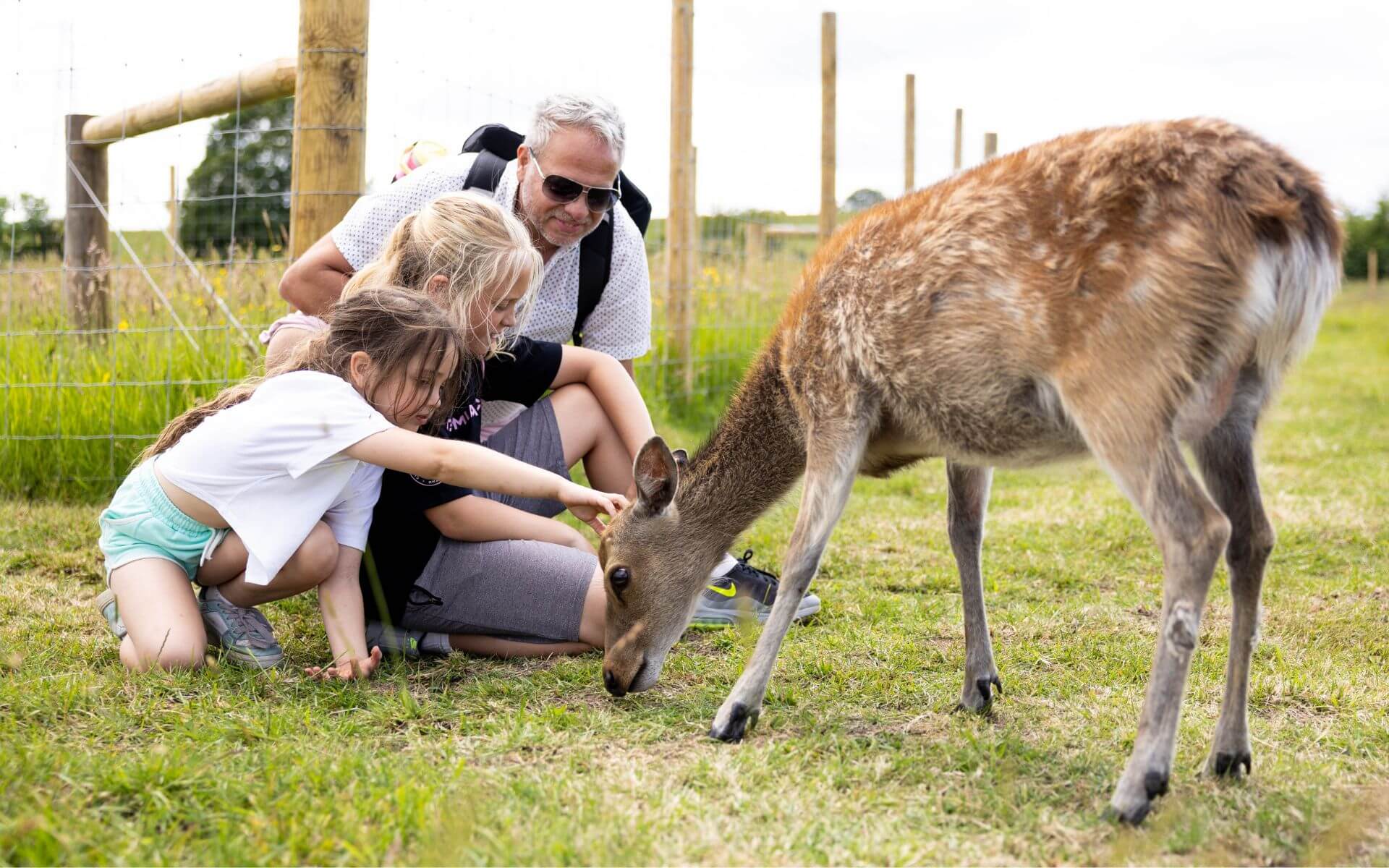 Deer Meadow - new for 2025