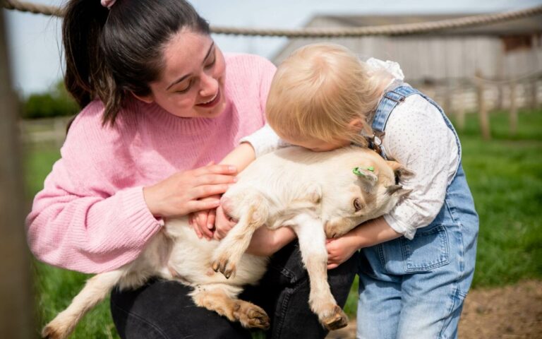 Animal Farm Day Out