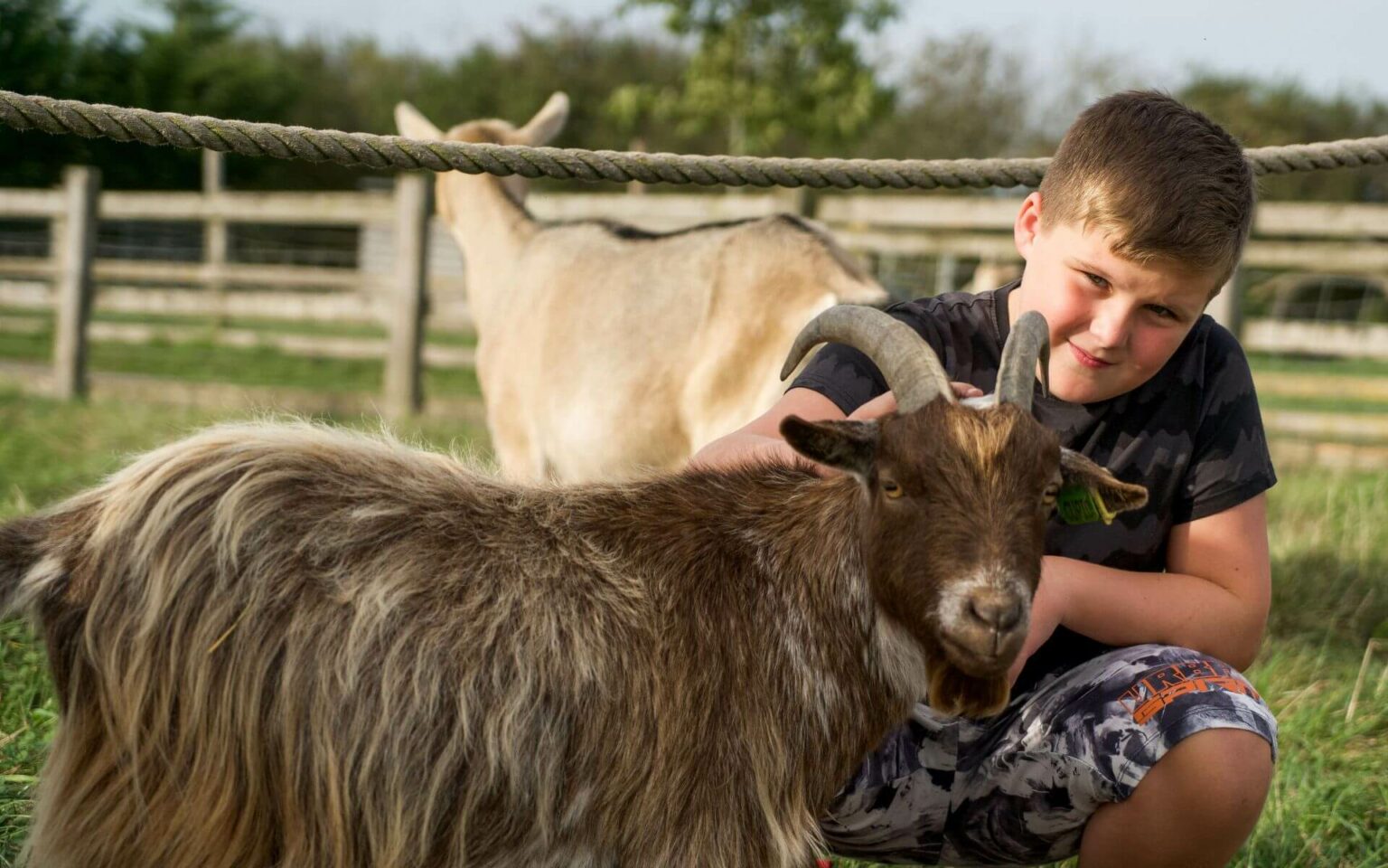 Wildlife Park in Buckinghamshire
