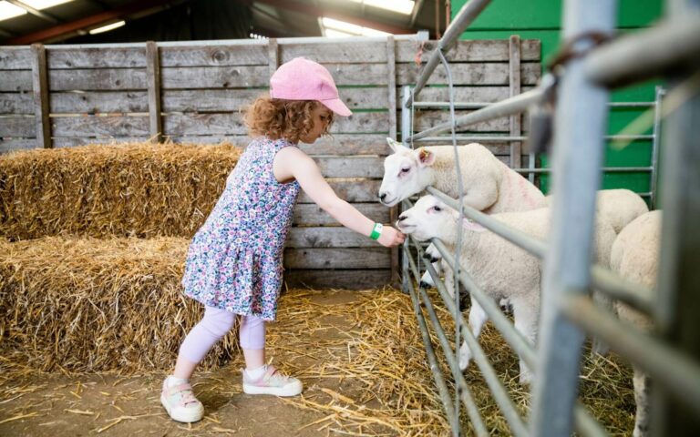 Mini Farm Keeper Experience for children